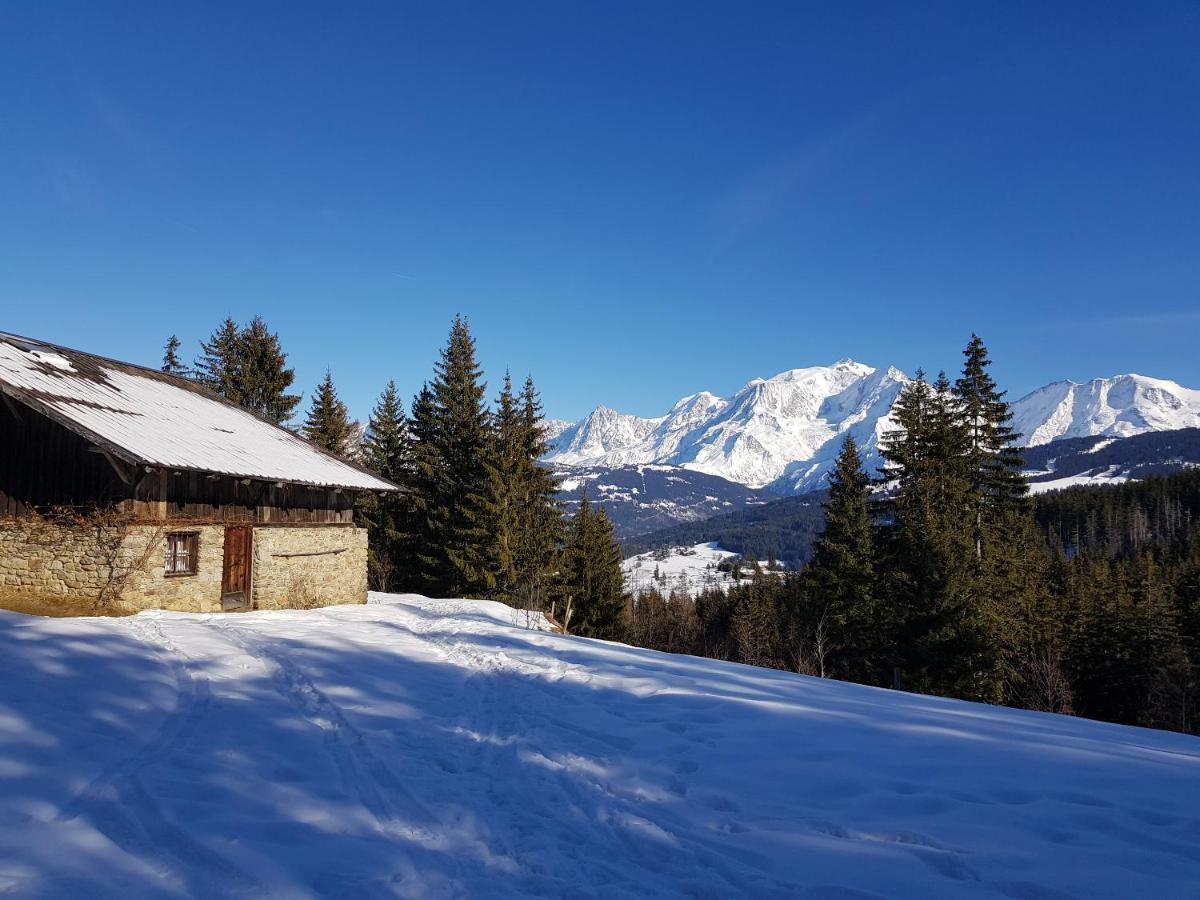 Appartement - Combloux Εξωτερικό φωτογραφία
